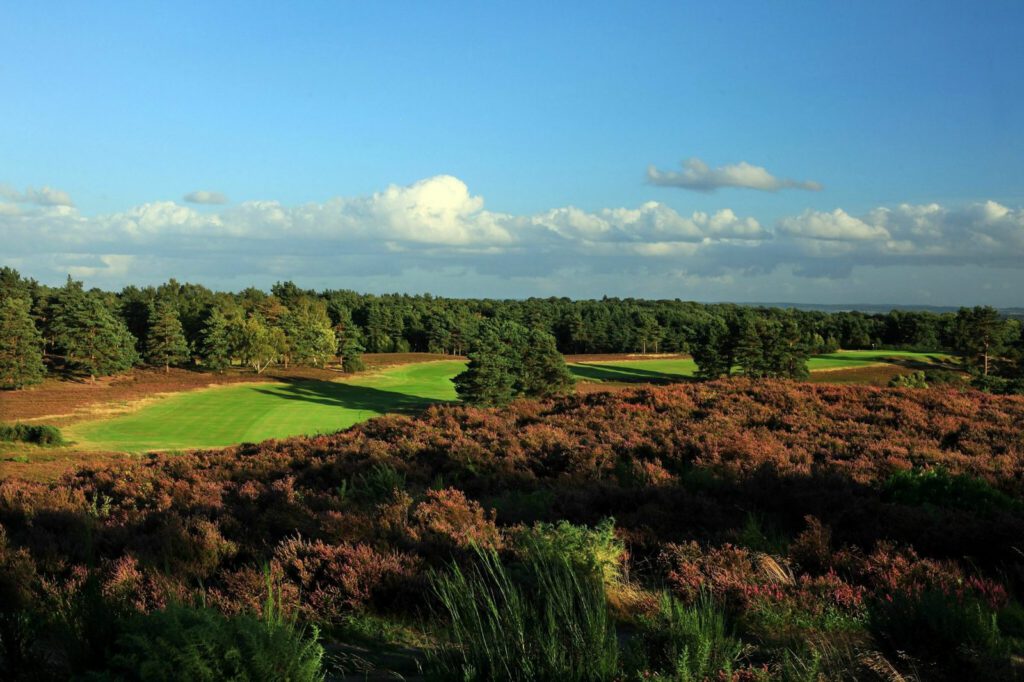 The Surrey Sandbelt Masterclass