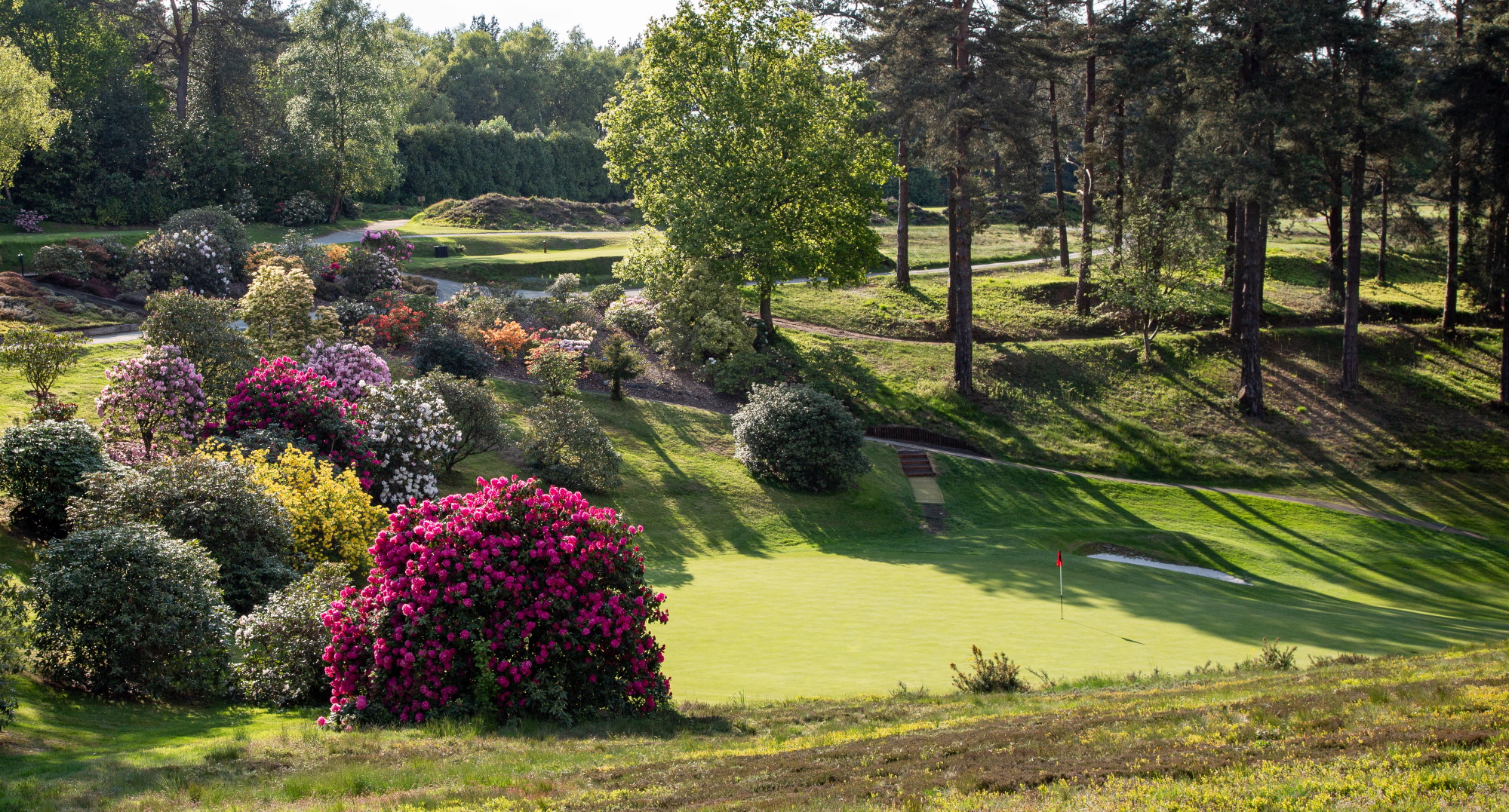Heathland golf course at Hindhead Golf Club, Surrey