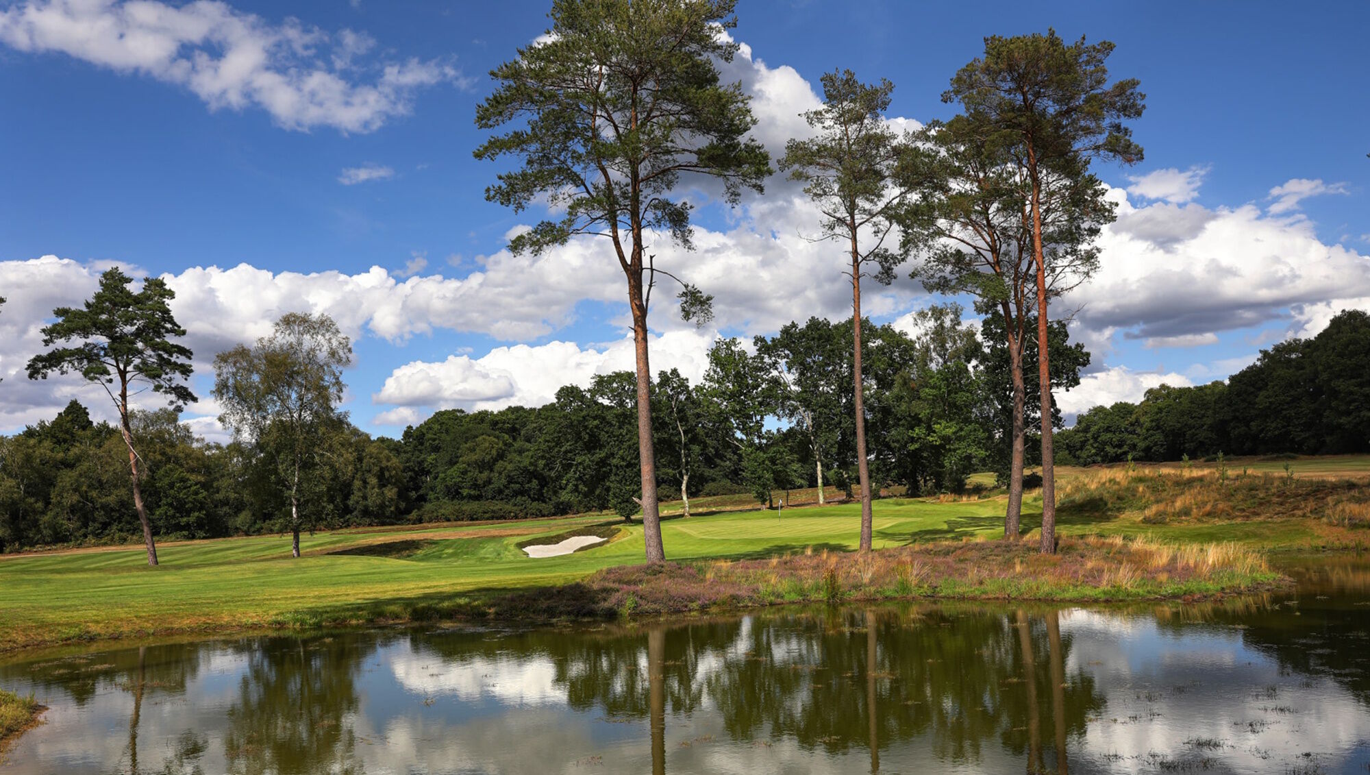 Heathland golf course at Liphook Golf Club, Hampshire