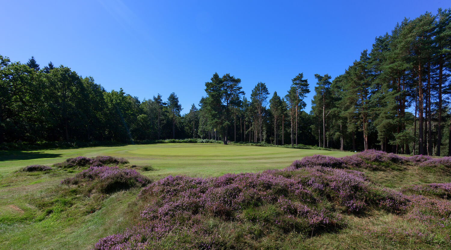 Heathland golf course at Royal Ashdown Forest Golf Club, East Sussex