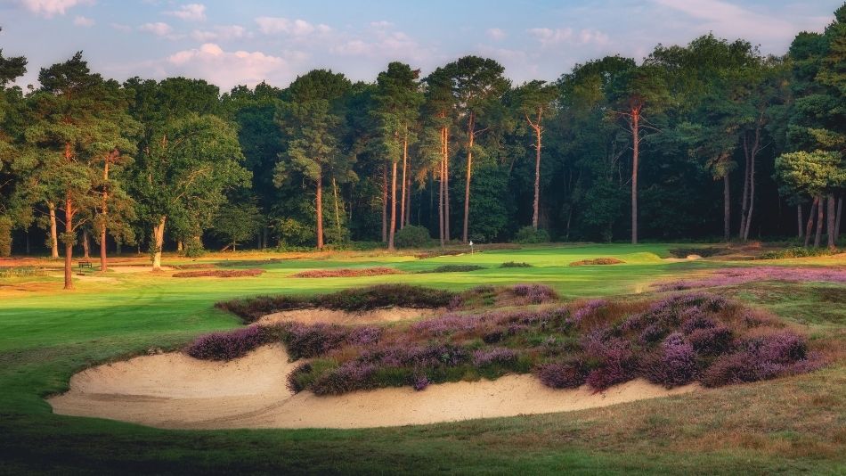 Heathland golf course at Woking Golf Club, Hook Heath, Surrey